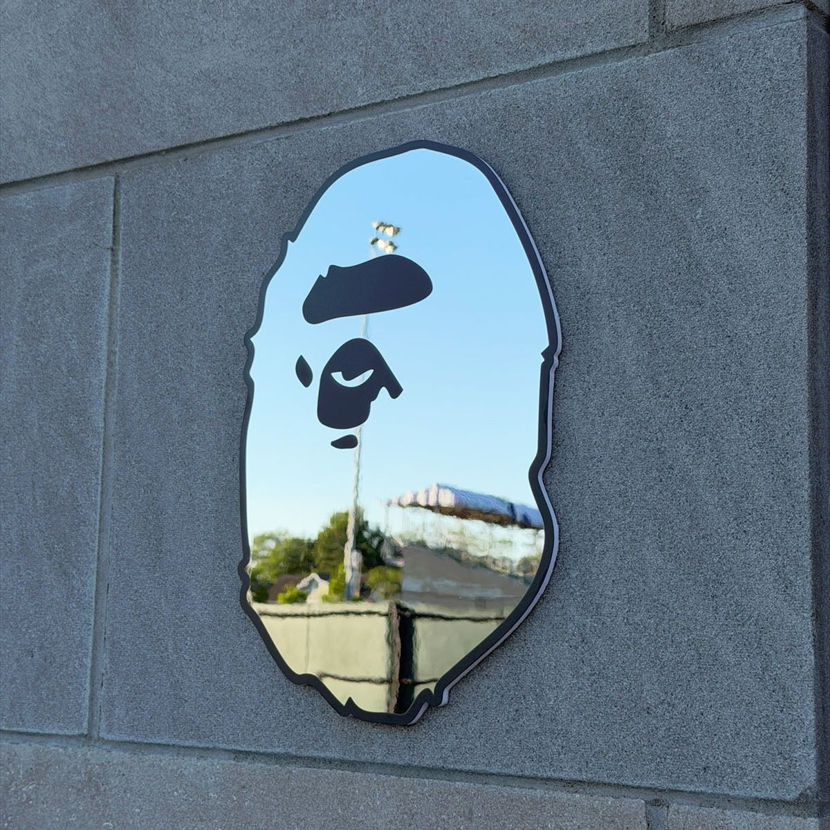 BAPE MIRROR